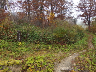 PA192218.jpg