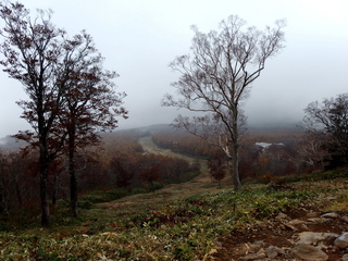 PA192220.jpg