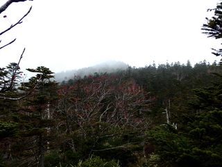 PA192221.jpg