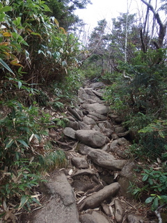 PA192222.jpg