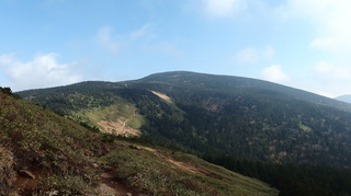 PA192234.jpg