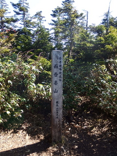 PA192245.jpg
