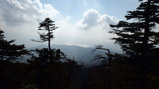 PA192254.jpg