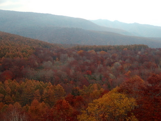 PA192267.jpg