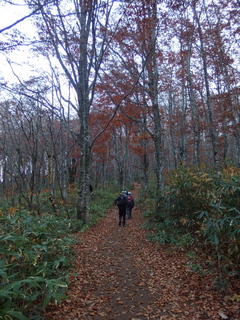 PA202278.jpg