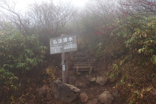 PA202284.jpg