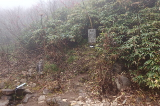 PA202292.jpg