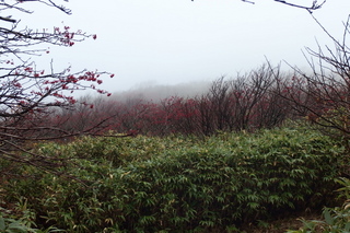 PA202294.jpg
