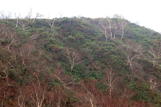 PA202299.jpg