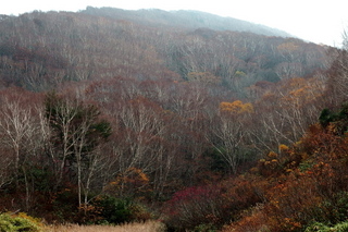 PA202317.jpg