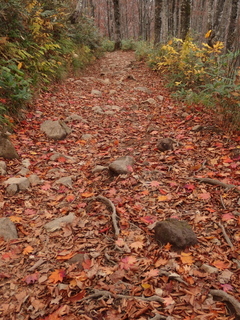 PA202318.jpg