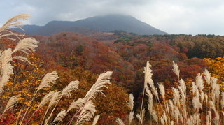 PA202322.jpg
