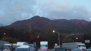 PB032339.jpg
