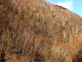 PB032345.jpg