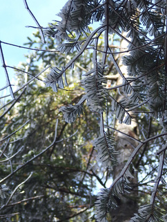PB032379.jpg