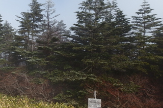 PB032385.jpg