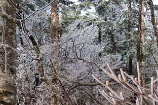 PB032388.jpg