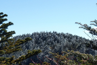 PB032394.jpg